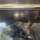 대산로211번길 이미지