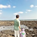 천일카인테리어 | 아기랑 제주 여행 4박 5일 일정 Part 1. 서귀포 중문 2박 3일 추천 동선