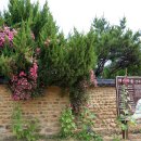 칠곡 지경당 이미지