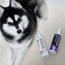 그루밍시즌 | 하이포닉 그루밍아티스트 디탱글링미스트 모이스처 미스트와 다른점은?