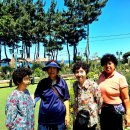 바다정원 이미지