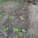 소용농장 이미지