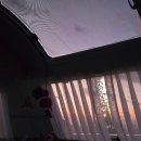 내리해물 | 대부도 3무 노지 캠핑 3주 연속 작은 어촌이 준 조용한 힐링 캠핑 후기