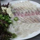 푸른용궁회 이미지