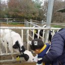 왕우목장 이미지