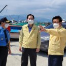 완도8호 이미지