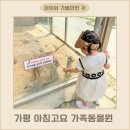 뱅골 | 기평 아이와 가볼만한곳 아침고요가족동물원 동물먹이주기 체험