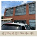 달다고미 이미지