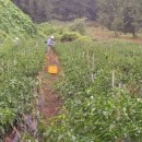 진선미농장 이미지