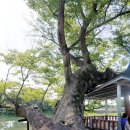 검암리 입구 이미지