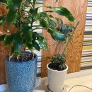 포르모 주차장 입구 | [목포왁싱/남악왁싱] 깔끔한 시술과 섬세한 테크닉으로 아프지 않게 잘하는 ‘chu왁싱’ 내돈내산 후기