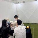 하나동물의료센터 이미지