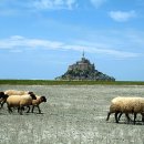 몽생미셀 이미지