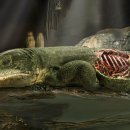 CW-1025-01 이미지