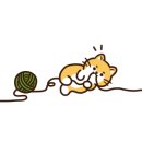 반지토퍼