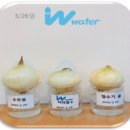[더블유워터(주)] ABOUT 더블유워터(주) : 농업에서의 자화활수 실험 및 효과 - 2편