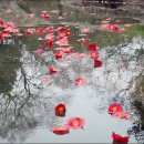 별따라꽃따라 이미지