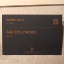 바다노선 이미지