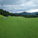 올데이 로얄포레 이미지