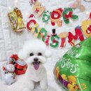 미공디자인 이미지