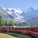 관계(關係)의공존( 이미지