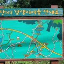 어단1리 네이버블로그