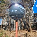 경희대학교 | [서울 러닝코스 추천 6탄]경희대학교 업힐런 러닝 후기