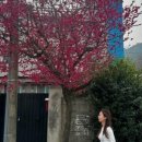 간전중앙로 이미지