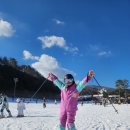 휘닉스파크 | 아이랑 평창 휘닉스파크 시즌권 이용후기 | 장비 렌탈·스키장 동선·식당 위치까지