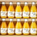 세계유산코스 이미지