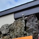 더로그제주 이미지