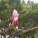 보니또민박 이미지