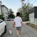 코비 - 임보 2주 이미지