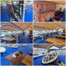 율정 | 경북 의성 여름여행, 진짜 N회차 방문 솔직 후기 :: 율정호 수상레저센터 수상스키 배웠어요! 초보 강습