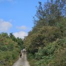 서해랑길 79코스 서산/당진시 *대산버스터미널~서산 아라메길관광안내소** (25.10.25) 이미지