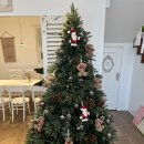 라피네펜션 이미지