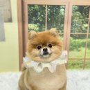 빛날시간 이미지