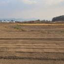 비봉보건진료소 이미지