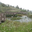 영인산수목원 충남일보