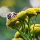 볼륨노래연습장 이미지