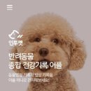 하남숲동물병원 이미지