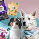 나투어리베 이미지