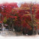 예산읍018 이미지