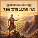 청년갈렙기업