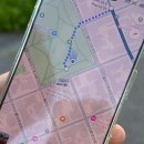 애니몰하우스 | 2025년 10월 2주차