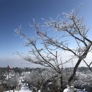 블루밍 스파앤풀빌라 이미지
