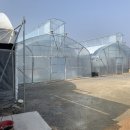 영신농장 이미지