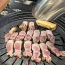 금고기비스트로신촌