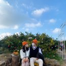 애월농장 이미지