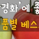 경화식품 이미지